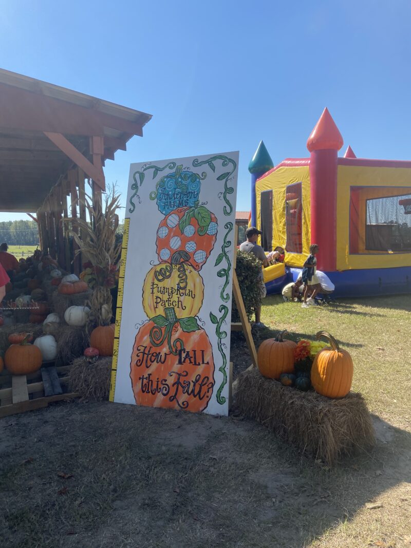 Meet You at the Pumpkin Patch